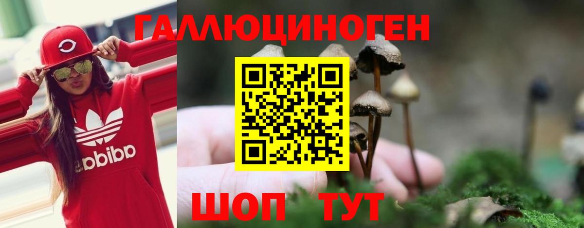 Галлюциногенные грибы Cubensis Чита